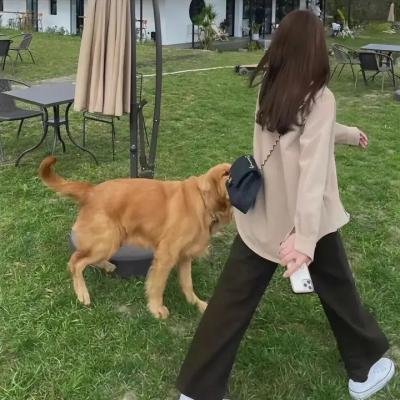 临界婚姻